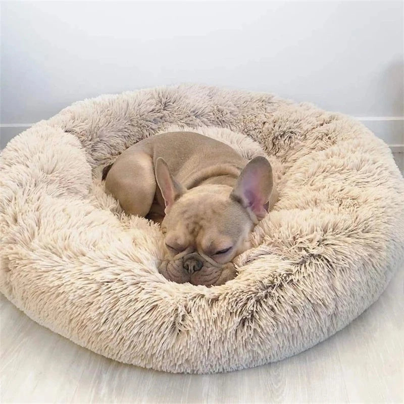 Odyssia Calming Donut Bed — The Cloud Your Pet Deserves
